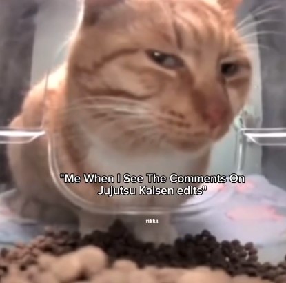 "me when i see the comments on the jujutsu kaisen edits"