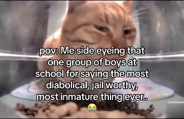 "pov: me side eyeing that one group of boys at school for saying the most disabolical, jail worthy, most immature thing ever"