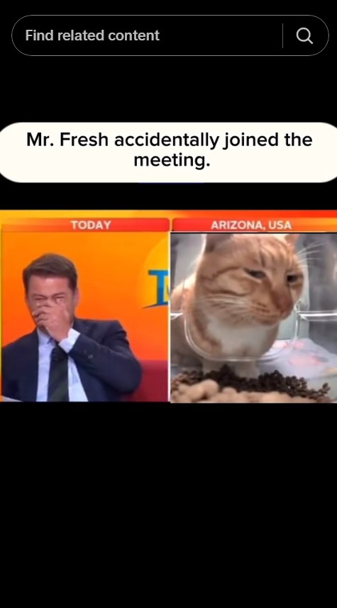 newscaster pranked with mr fresh