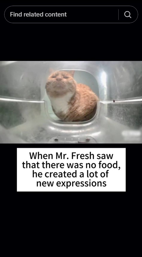mr fresh face empty bowl
