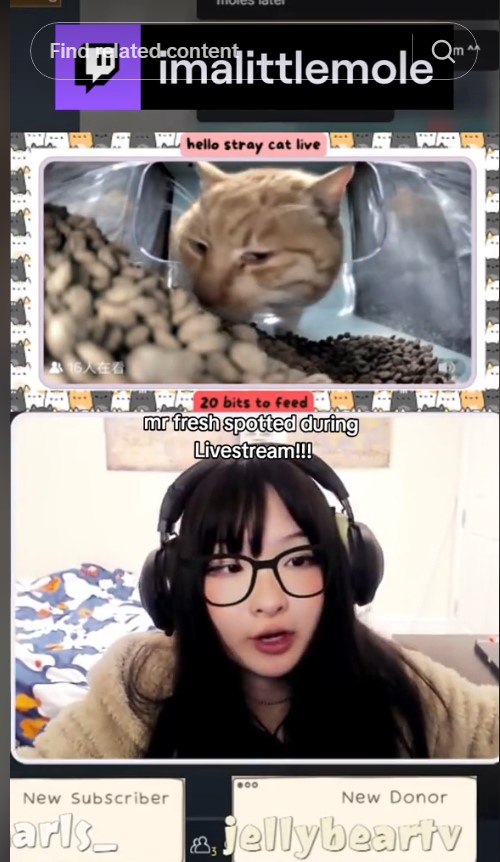 mr fresh appears during livestream