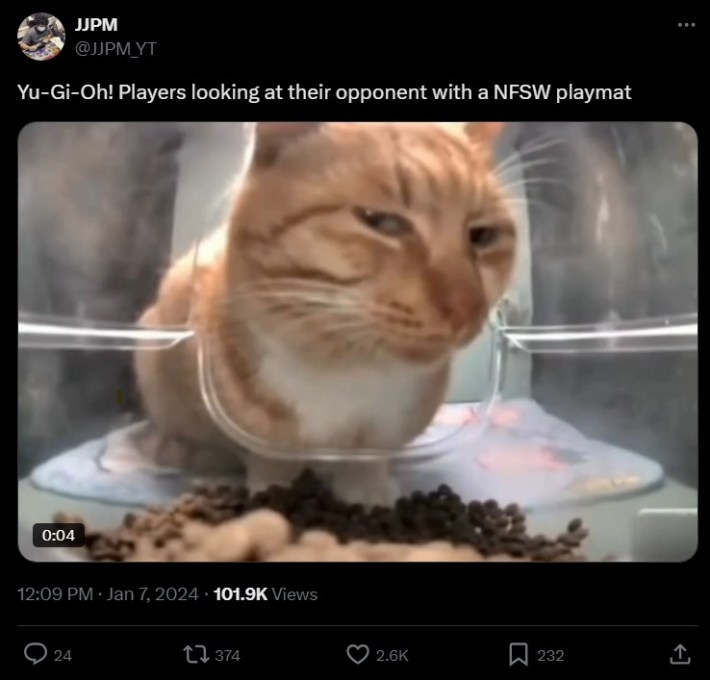 "Yu-Gi-Oh! Players looking at their opponent with a NFSW playmat" tweet with side eye cat gif