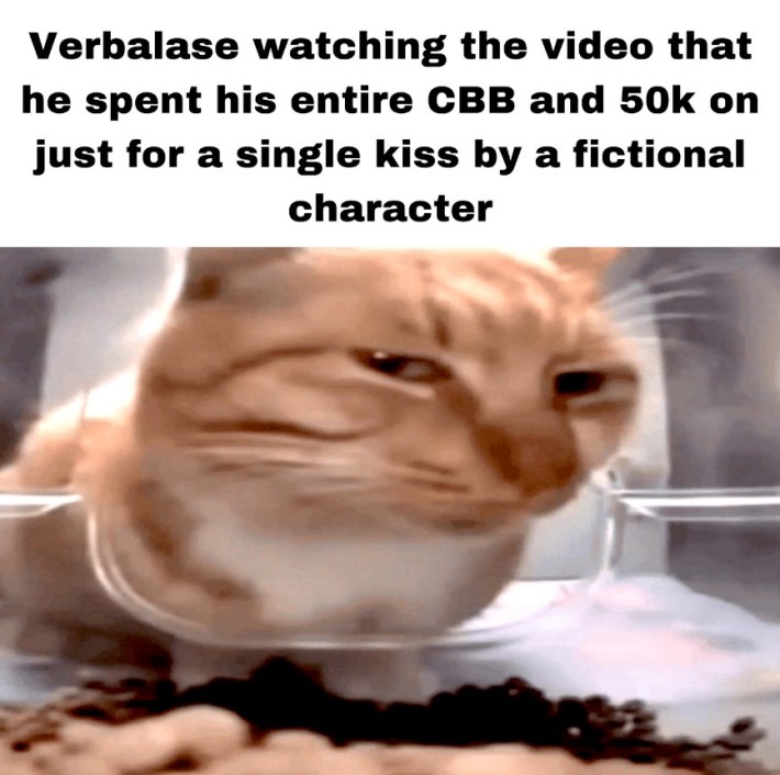 verbalese side eye cat gif
