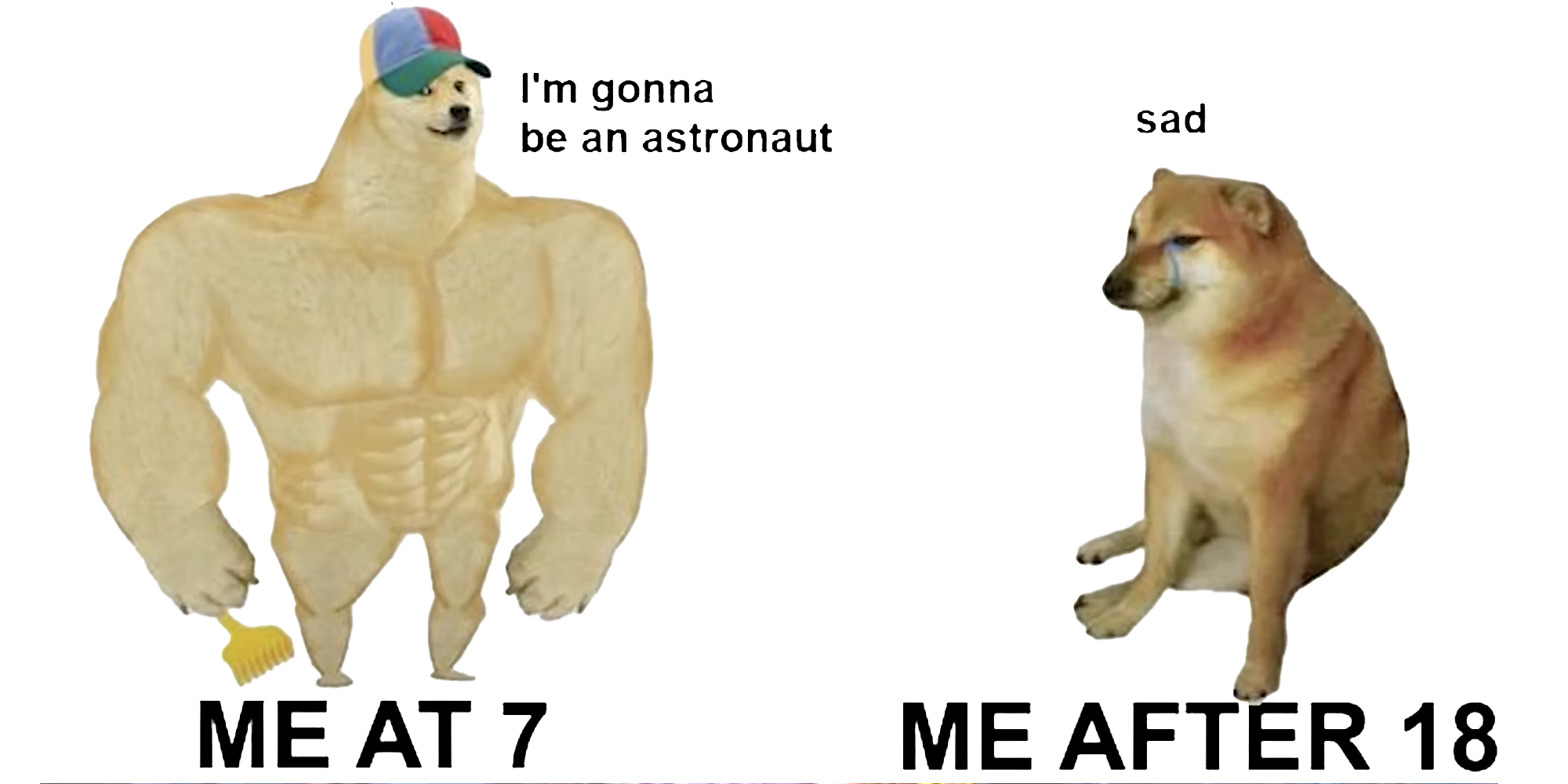 Swole Doge vs Cheems meme