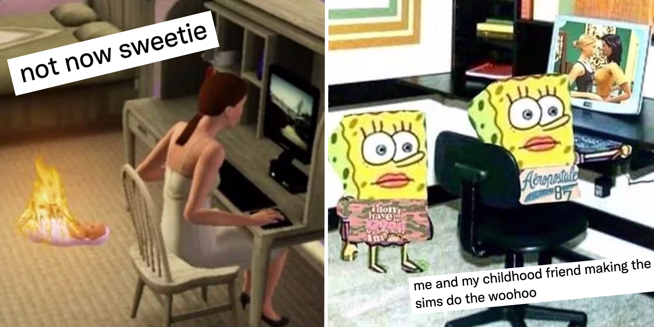 the sims memes