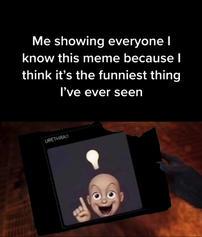 "me showing everyone i know this meme because i think its the funniest thing i've ever seen"