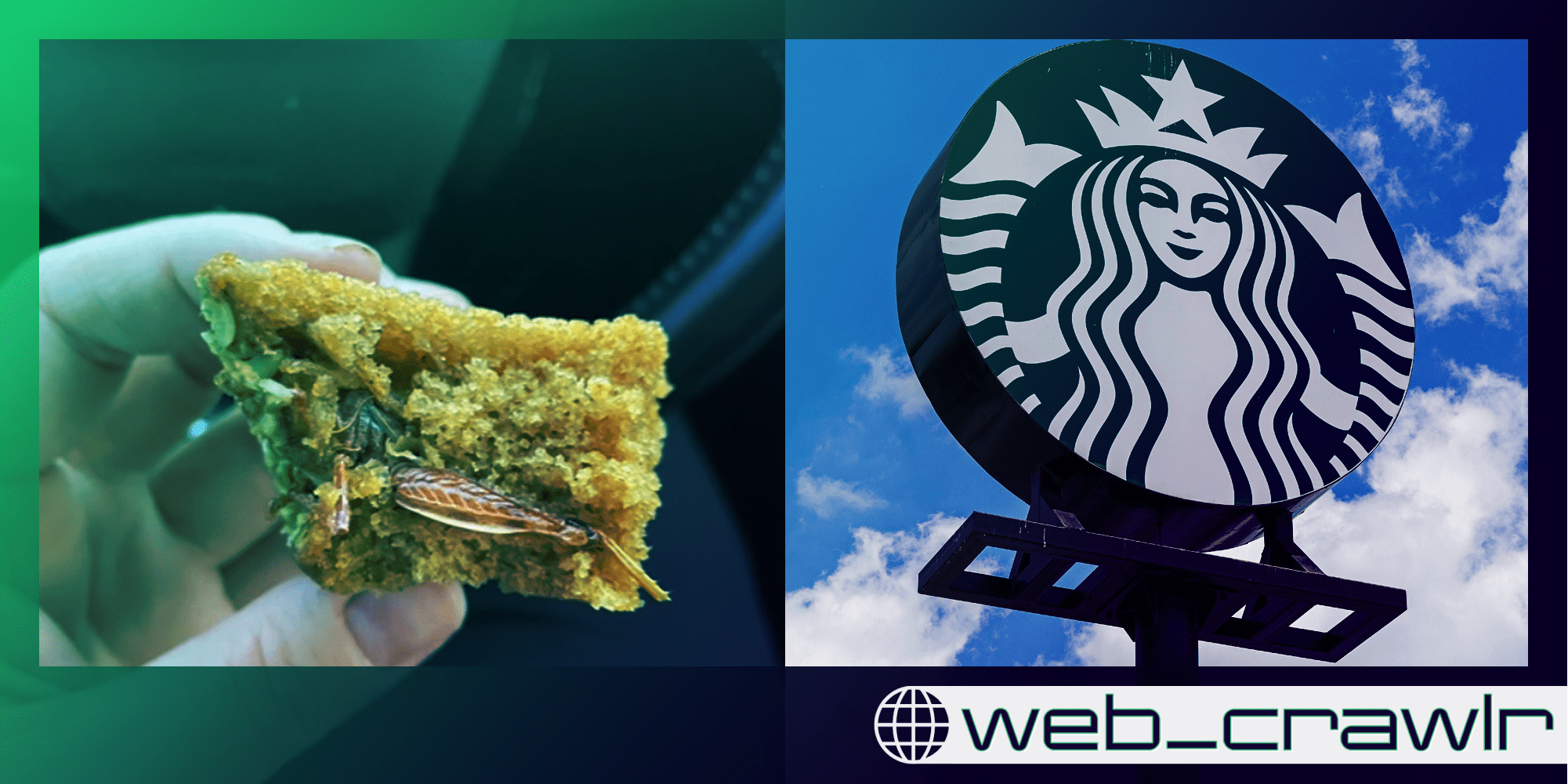 A loaf with a bug baked into it next to a Starbucks sign. The Daily Dot newsletter web_crawlr logo is in the bottom right corner.