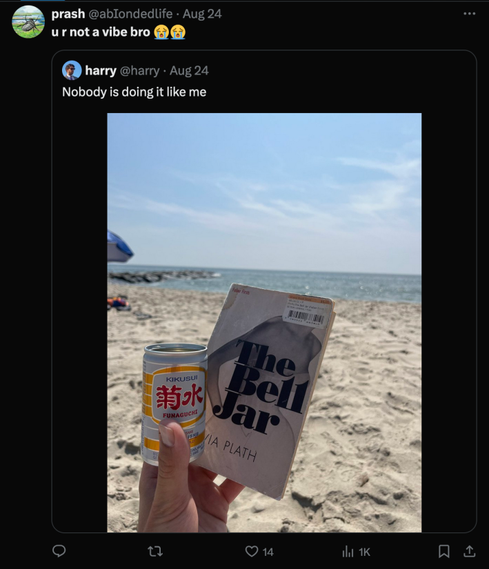 A repost of an X post with an image of a hand holding a beer and Sylvia Plath's "the Bell Jar," at the beach. User's response: "U R Not A Vibe Bro."