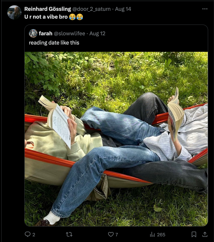 A X post of two people in hammocks reading books together. That caption is "reading date like this," with the repost stating "U R Not A Vibe Bro"