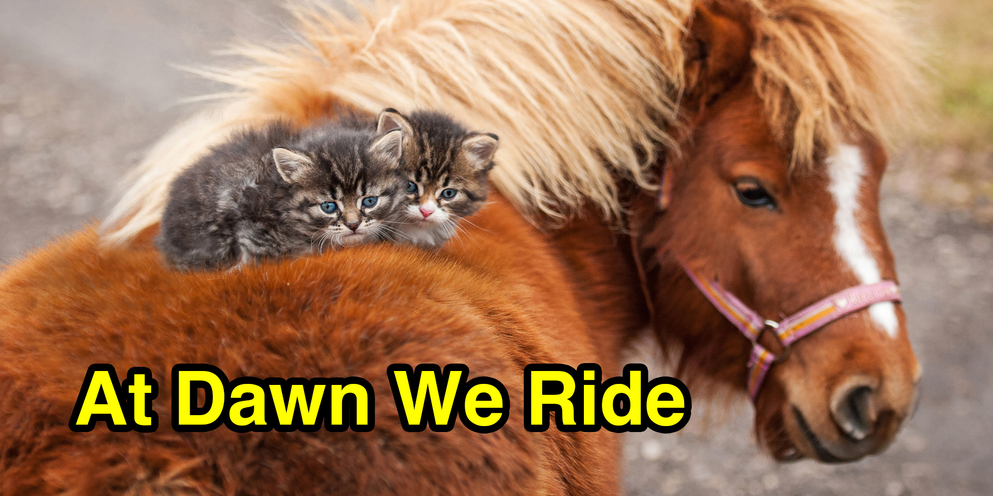 Kittens riding pony with text that says "at dawn we ride"