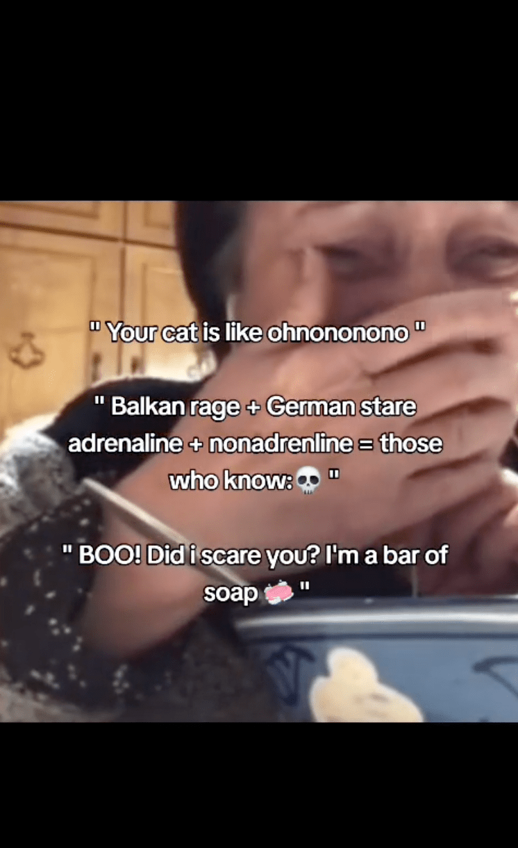 What Is The Balkan Rage Meme All Over TikTok?
