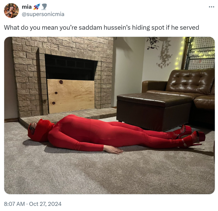 Halloween costume of "saddam hussein’s hiding spot if he served"