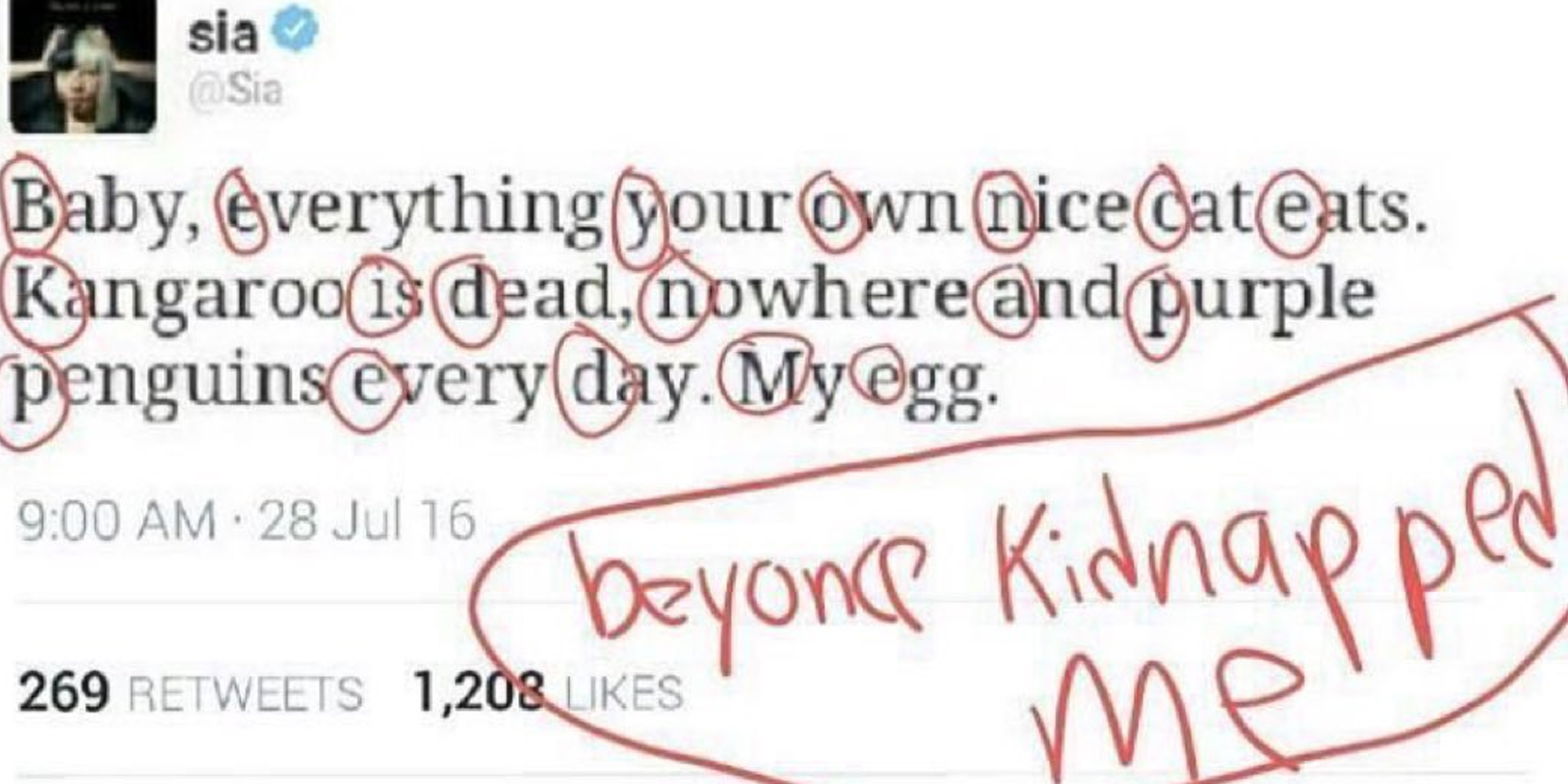 Sia tweet with every first letter of each word is circled in red (Baby, everything your own nice cat eats. Kangaroo is dead, nowhere and purple penguins every day. My egg.) and the words beyonce kidnapped me circled beneath