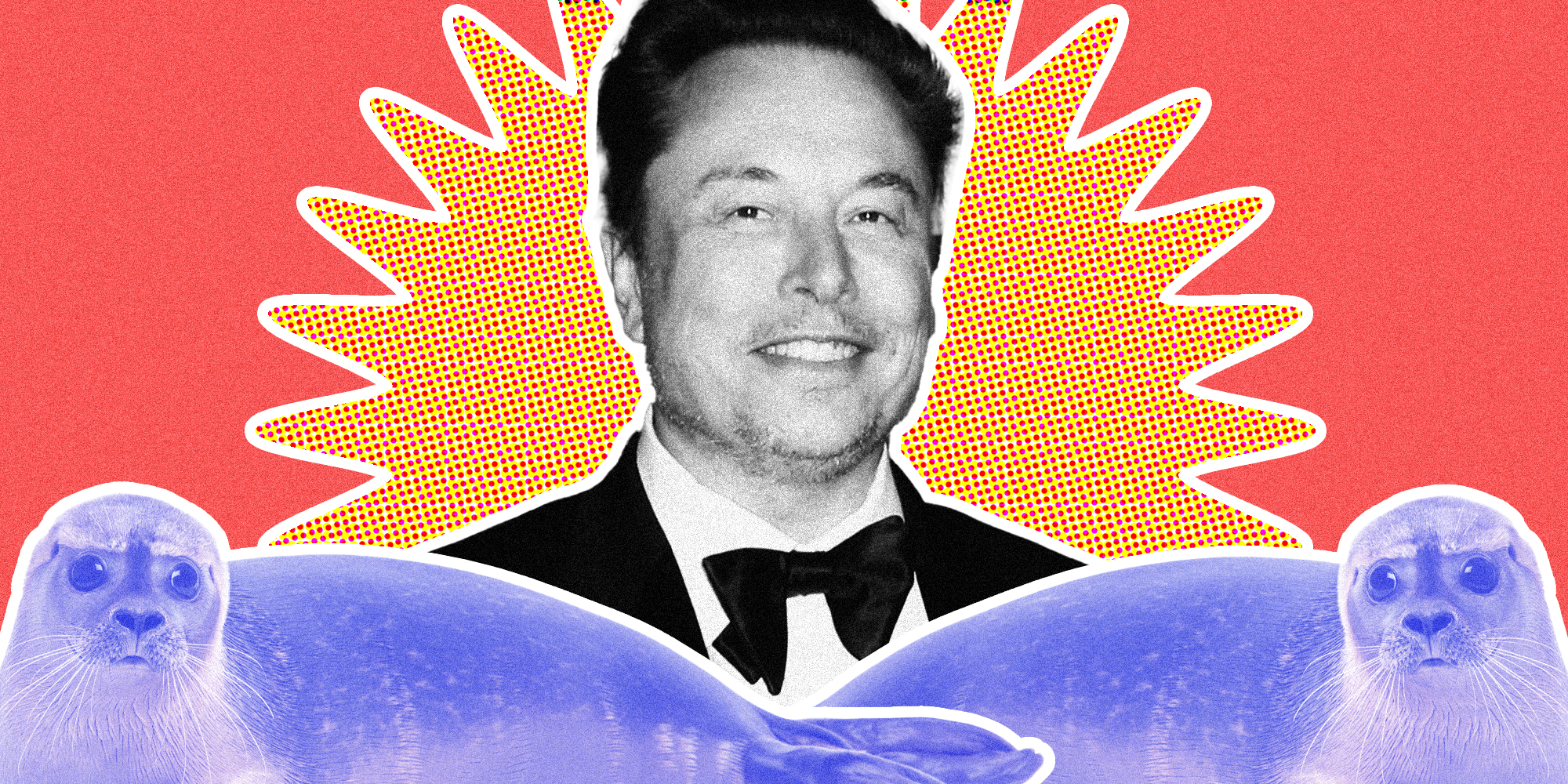 Elon Musk behind two seals