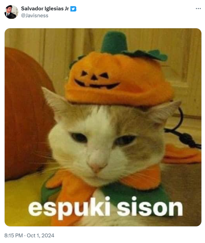 Photo of an orange cat with a pumpkin hat on. Text reads, "espuki sison."
