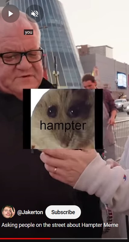 hampter meme reaction