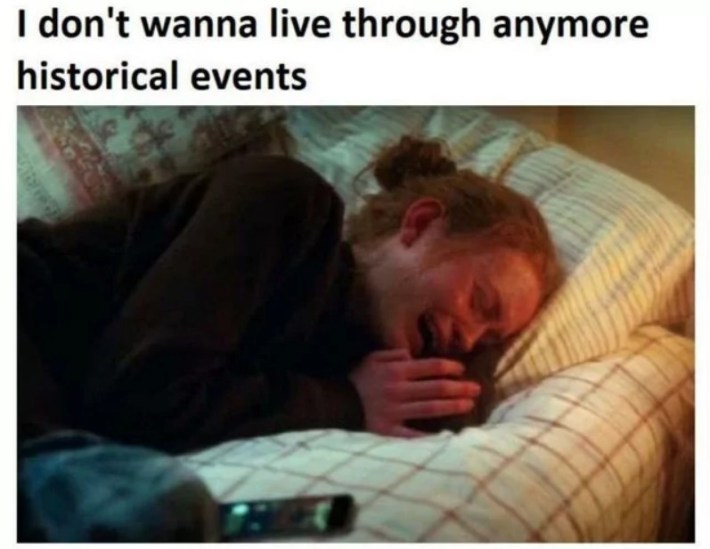 "i don't wanna live through anymore historical events" crying meme