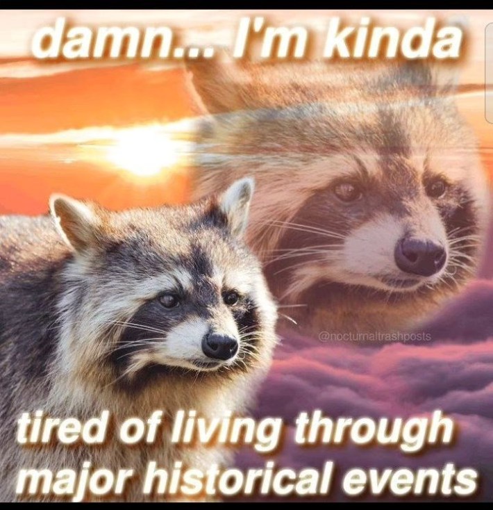 raccoon "damn i'm kind of tired of living through major historical events"