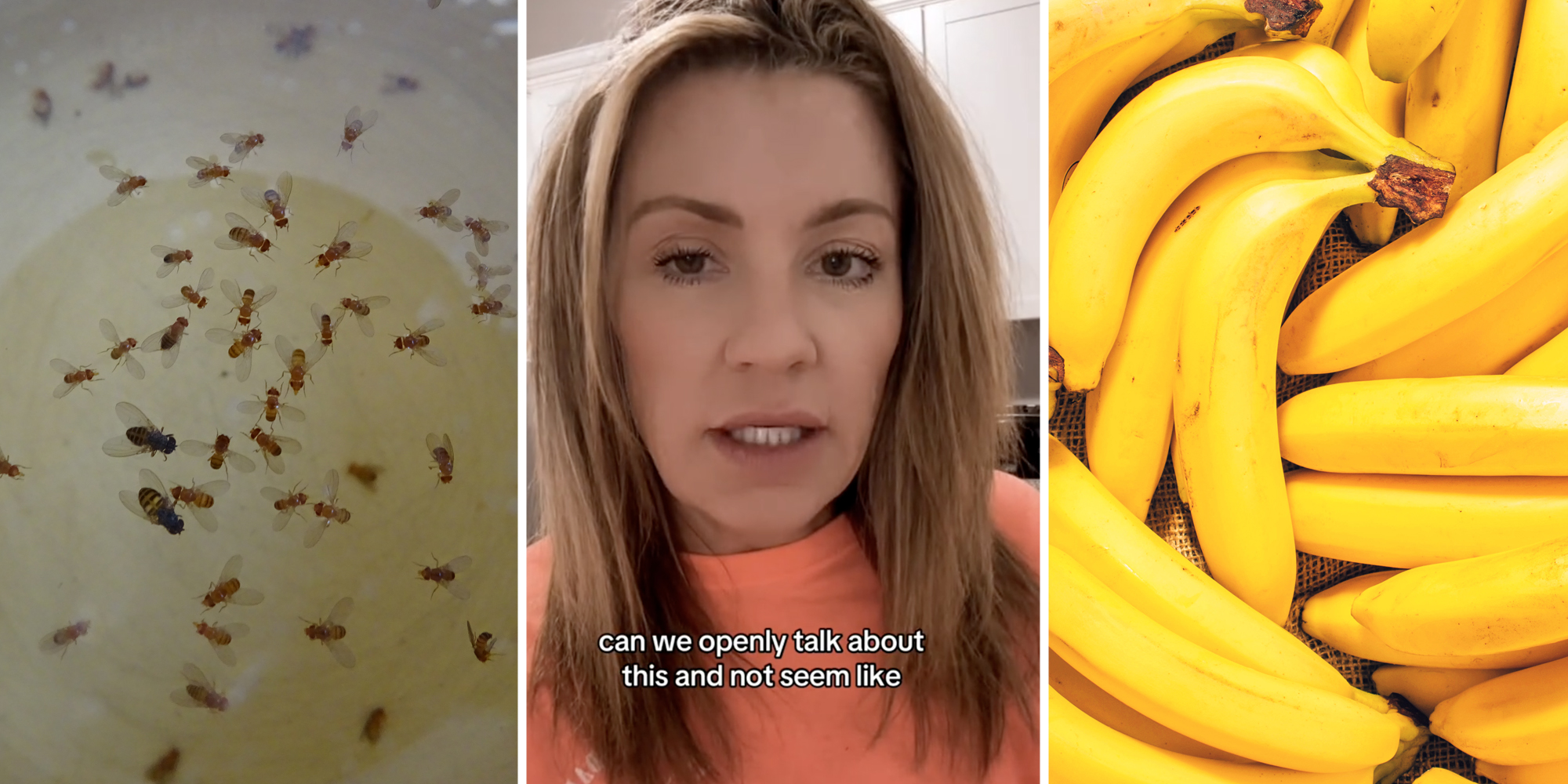 Fruit Flies in liquid(L), Woman talking with text that says "can we openly talk about this and not seem like"(c), Bananas(r)