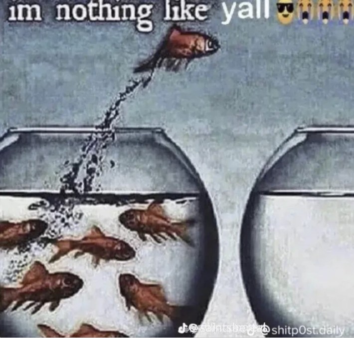 deep fried "I'm nothing like y'all" fish meme