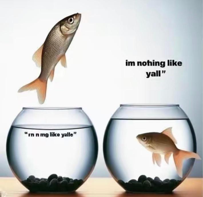 i'm nothing like y'all fish meme
