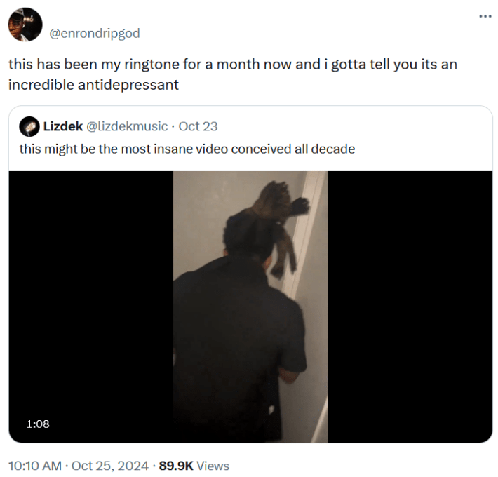 Tweet reading "this has been my ringtone for a month now and i gotta tell you its an incredible antidepressant."