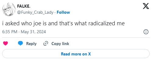 tweet that reads "i asked who joe is and that's what radicalized me"