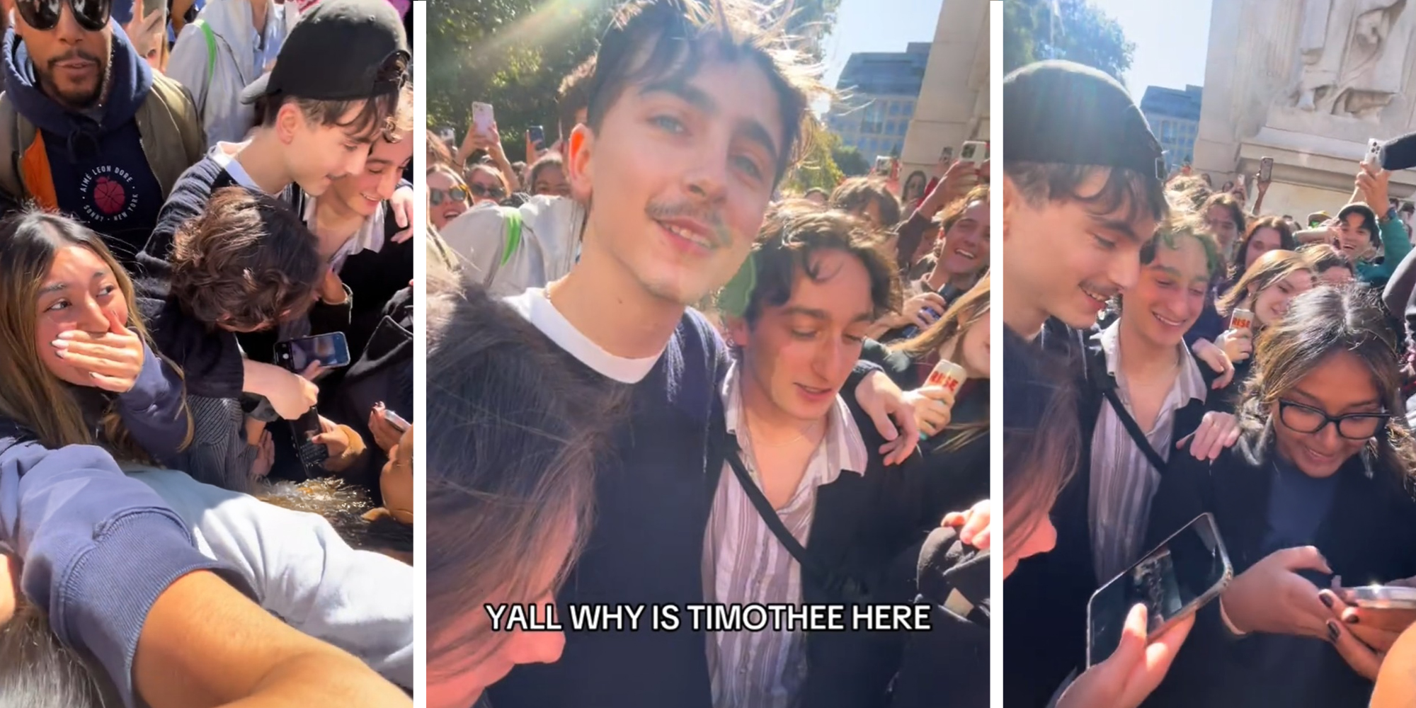 Timothee chalamet crashes his own lookalike contest
