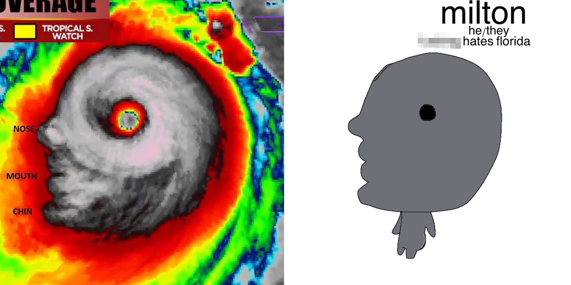 hurricane milton meme