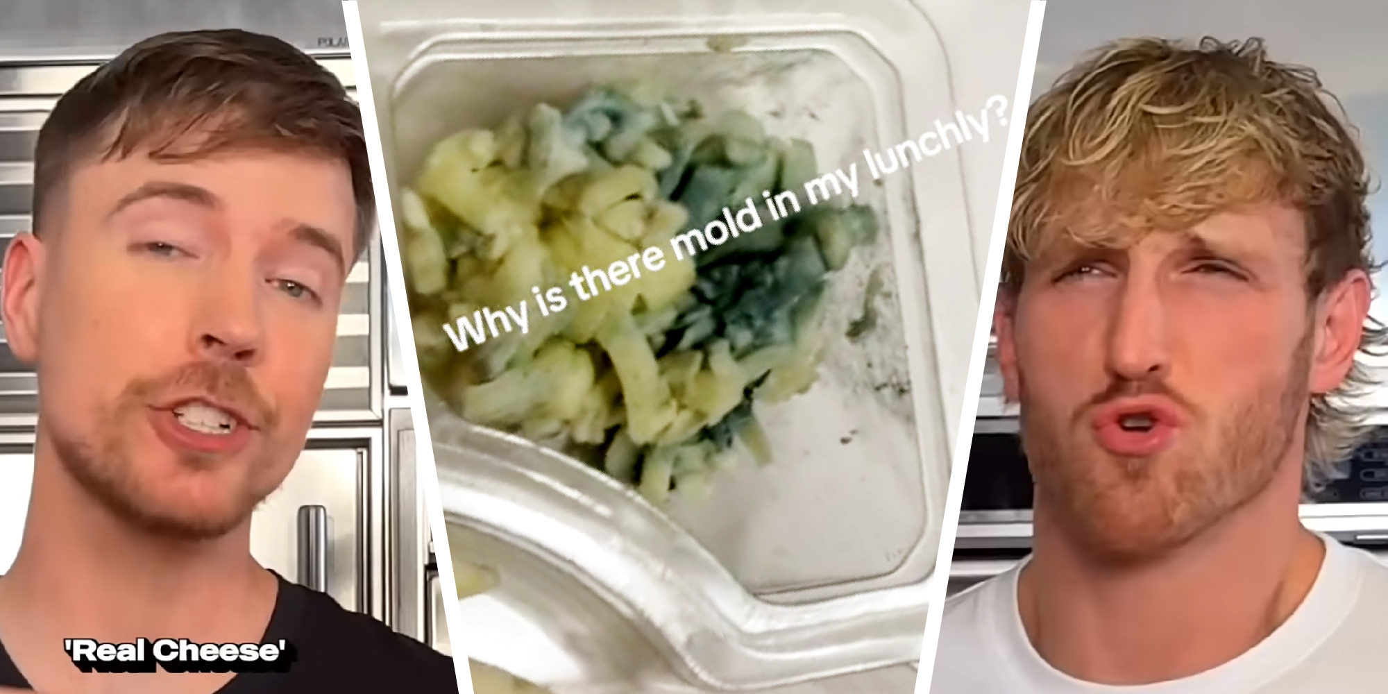 3 panel image shows two people flanking a photo of a moldy cheese prepacked lunch.