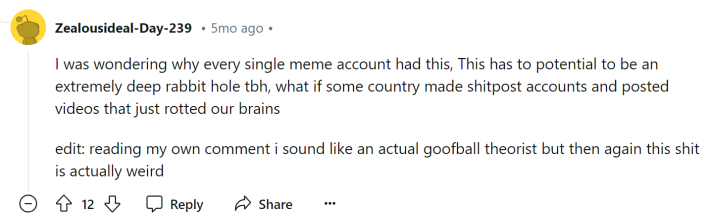 Reddit comment that reads, "I was wondering why every single meme account had this, This has to potential to be an extremely deep rabbit hole tbh, what if some country made shitpost accounts and posted videos that just rotted our brains edit: reading my own comment i sound like an actual goofball theorist but then again this shit is actually weird"