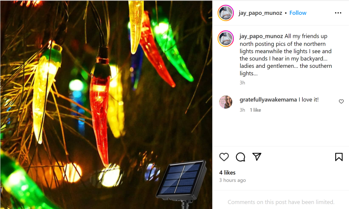 Photo on Instagram of chili pepper lights. Caption reads, "All my friends up north posting pics of the northern lights meanwhile the lights I see and the sounds I hear in my backyard… ladies and gentlemen… the southern lights…"