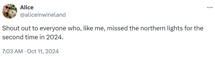 Tweet that reads, "Shout out to everyone who, like me, missed the northern lights for the second time in 2024."