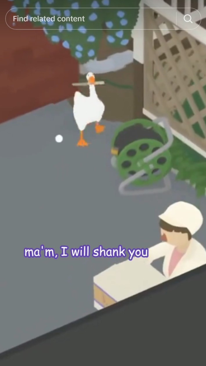ma'am i will shank you goose