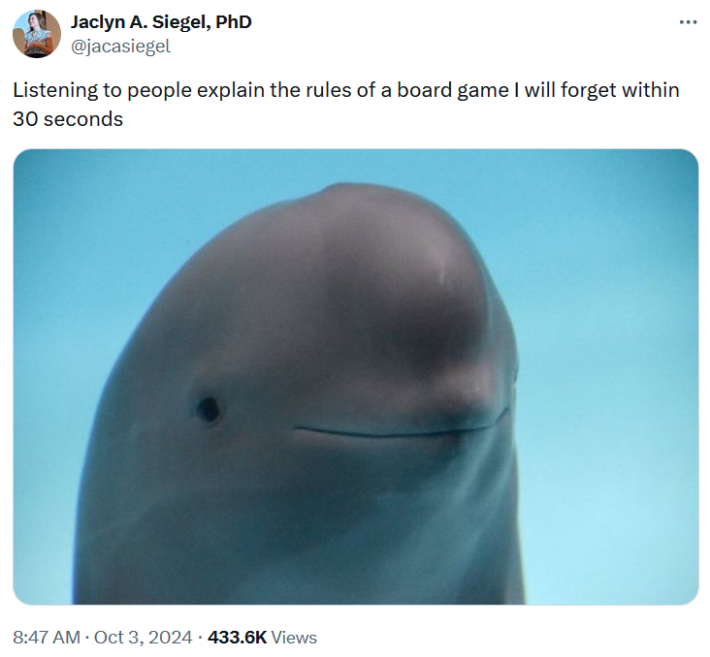 Smiling dolphin meme about people explaining board game rules.