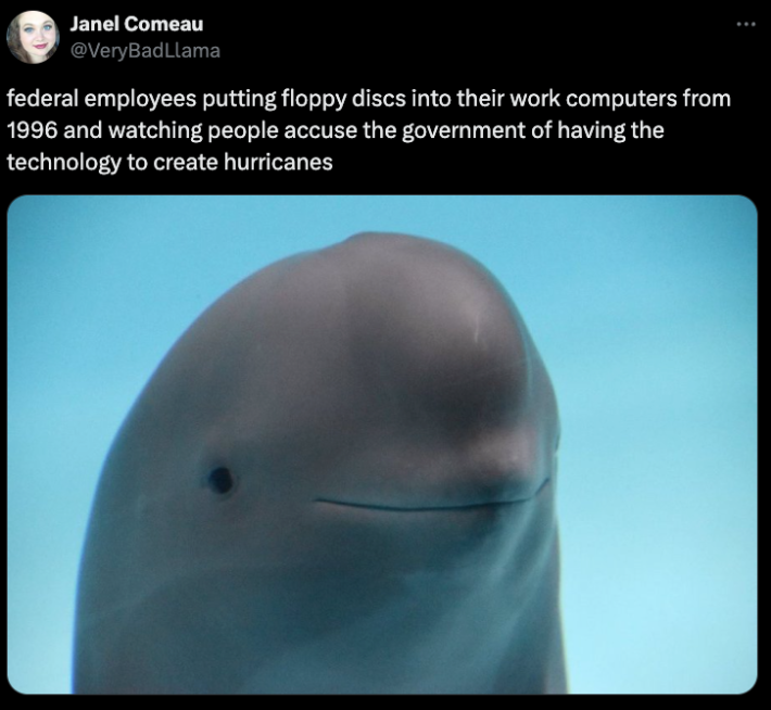 Yangtze finless porpoise joke about Trader Joe's cashiers.