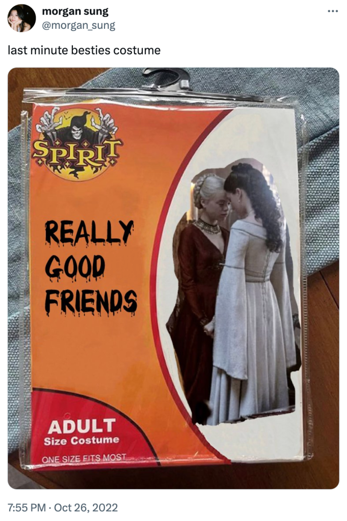 Spirit Halloween costume meme of "really good friends."