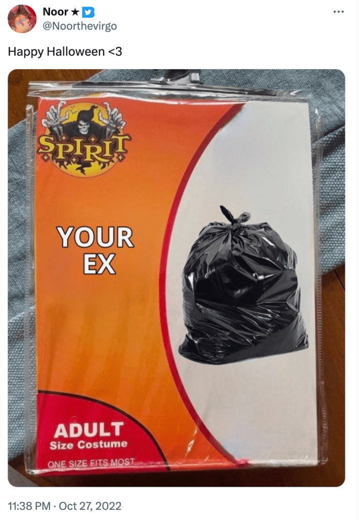 Spirit Halloween costume meme of "your ex" and it's a bag of trash.