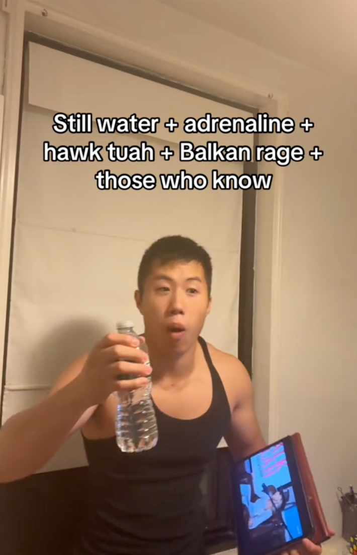 still water meme tiktok screenshot with a caption reading: "Still water + adrenaline + hawk tuah + Balkan rage + those who know"