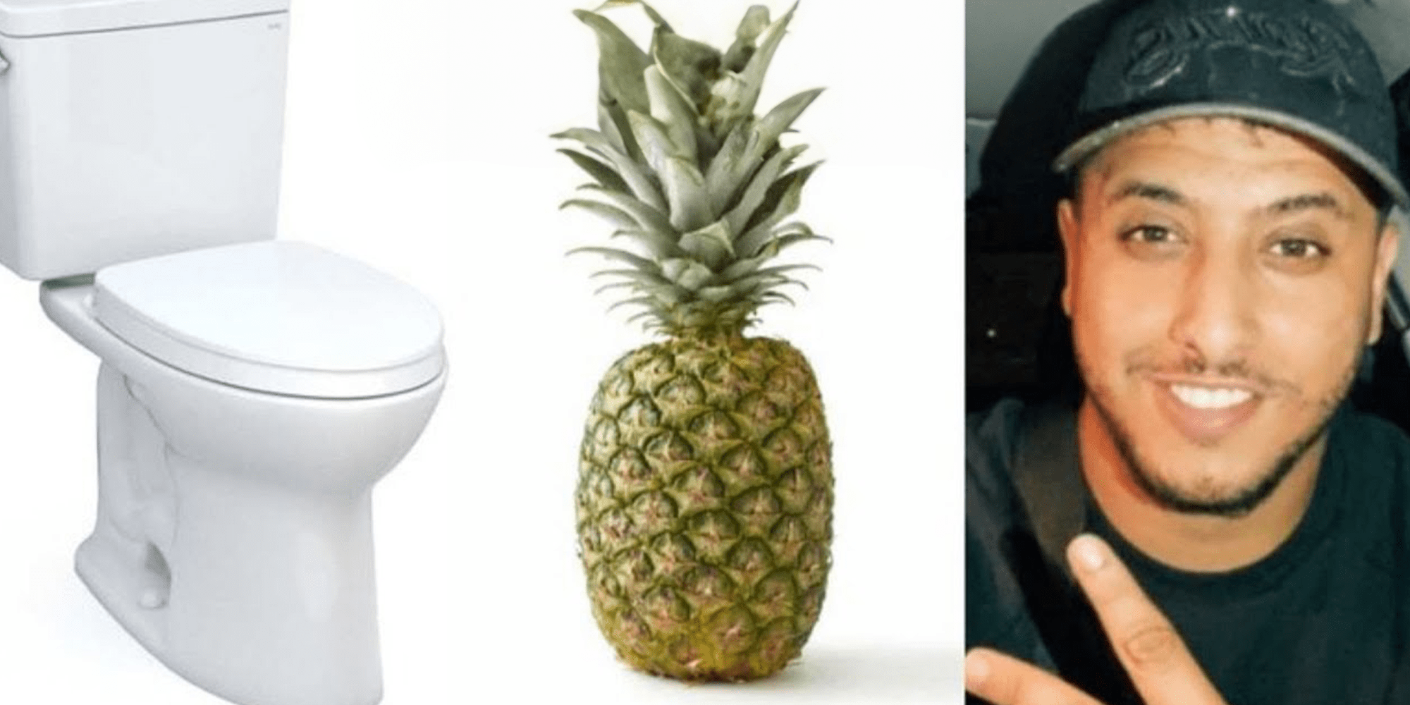 Toilettes Ananas Nasdas