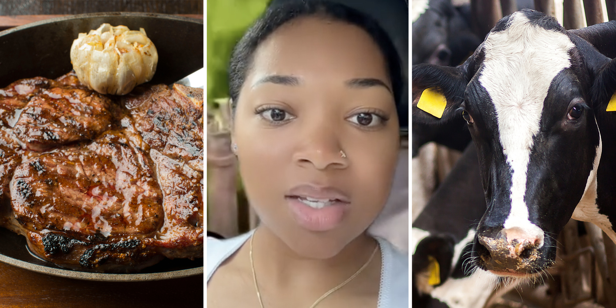 A 3 part image. On the left there is well cooked steak, in the middle a young woman's face, and on the right the face of a cow looks mournfuly at the viewer.