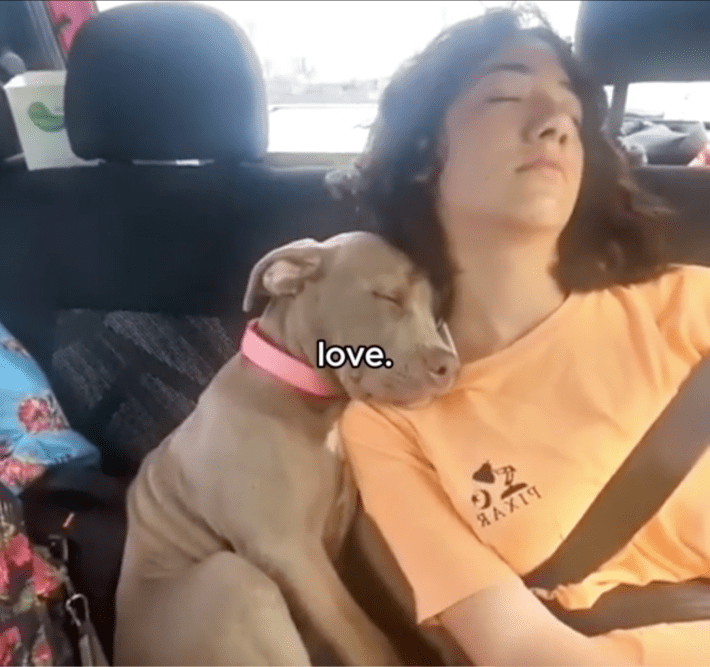 Hopecore TikTok of a teen and their puppy sleeping against each other in the back seat of a car.