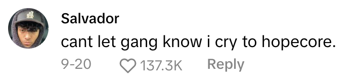TikTok comment that reads, "cant let gang know i cry to hopecore."