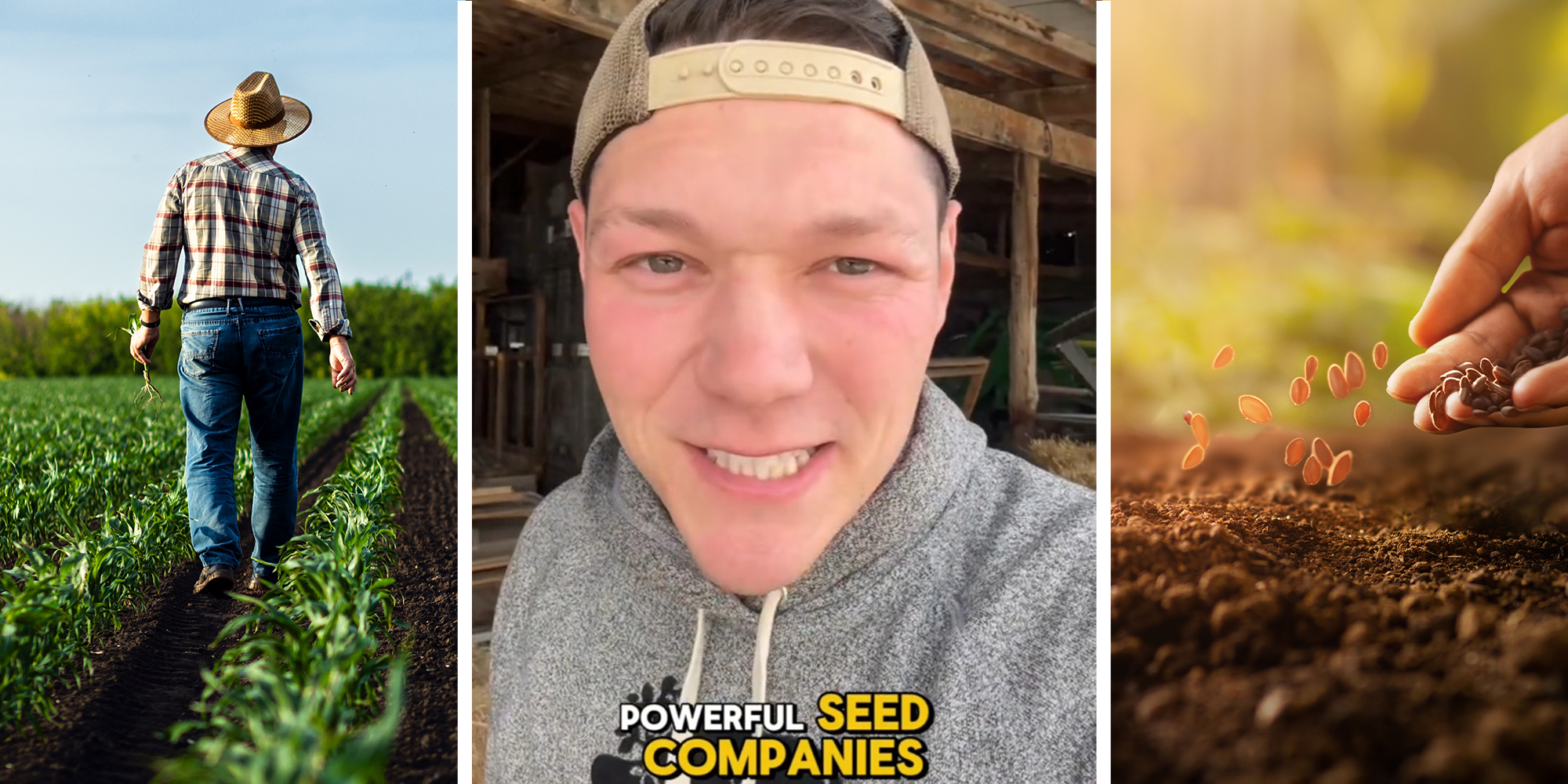 Farm walking through corn field(l) Farmer Sharing information on seeds(c) Hand planting Seeds on soil(r)