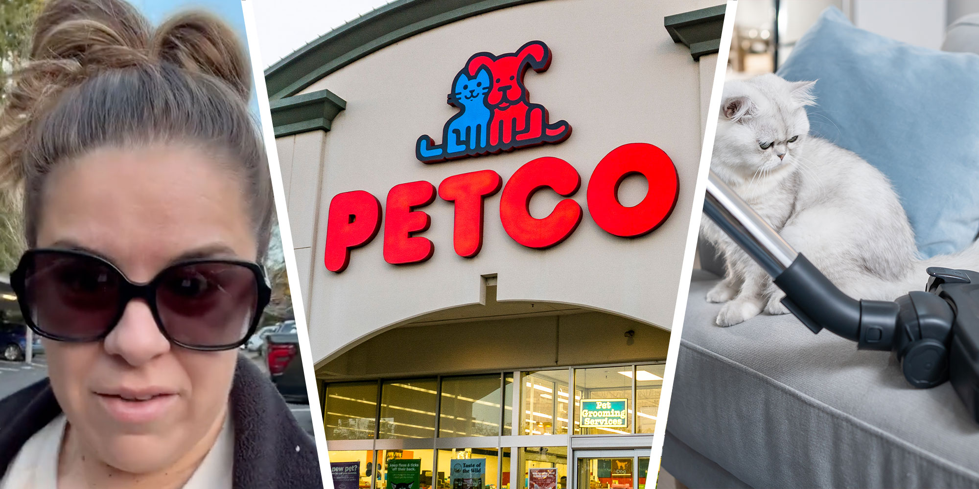 Three panel design with one showing a woman with large sunglasses, two is of a PetCo sign, and three is of a vacuum on a sofa next to a cat.