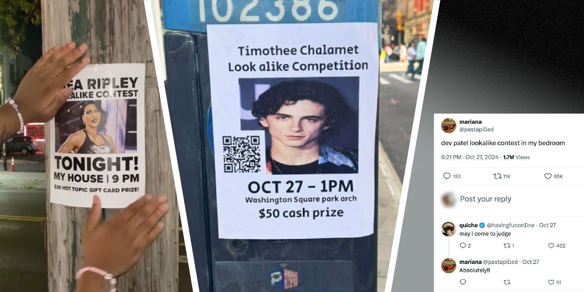 3 panel image showing the original Timothee Chalamet Look alike poster in the middle, and two dopplegangers on the sides.