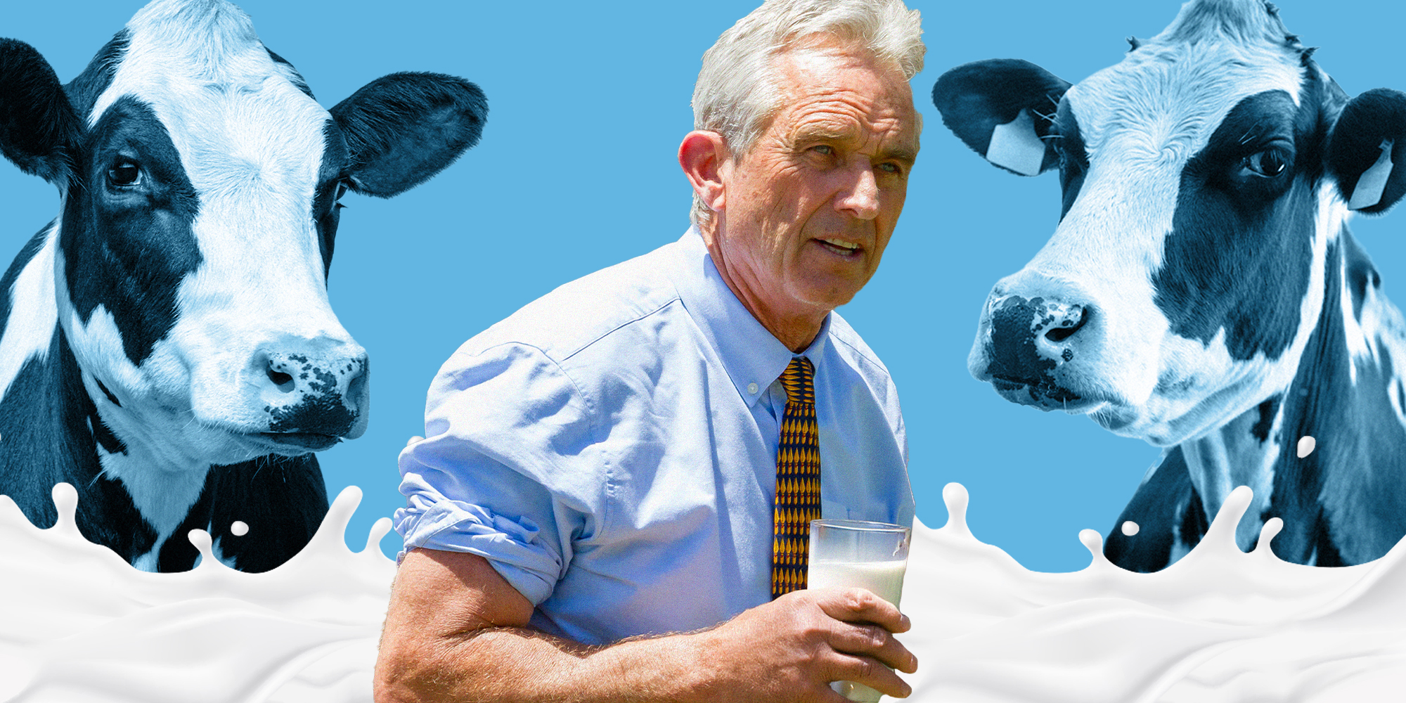 RFK Jr. Holding glass of milk with cows as background