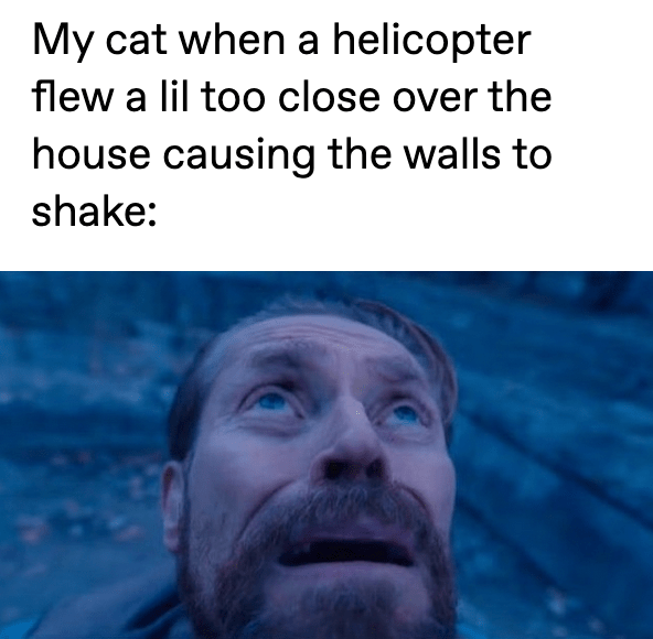 The Willem Dafoe meme looking up with the caption "My cat when a helicopter few a lil too clsoe over the house causing the walls to shake"