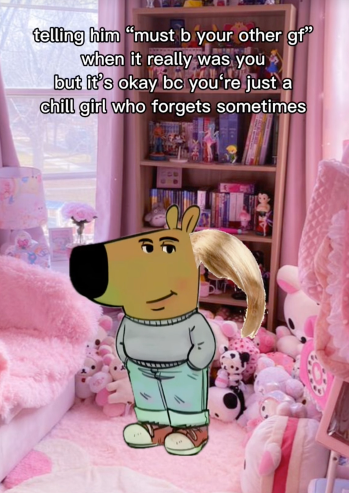 An anthropomorphic dog in a grey sweater and jeans witha blonde ponytail, sitting in a very pink girls bedroom with a "chill girl" caption.