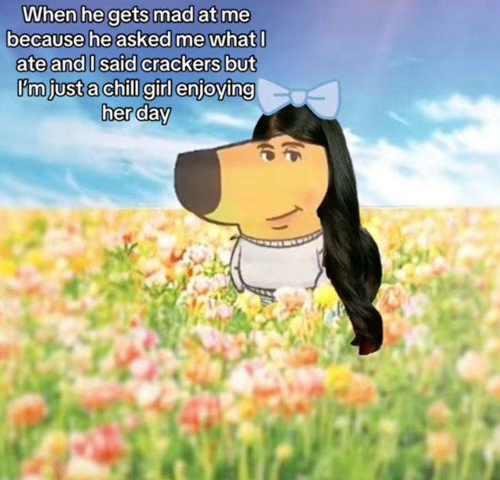 An anthropomorphic dog in a grey sweater and jeans with brunette hair and bow, sitting in a field with a "chill girl" caption.